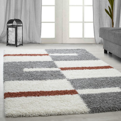 https://www.carpet1001.de/14901-home_default/pelo-lungo-pelo-lungo-soggiorno-tappeto-shaggy-altezza-pelo-3cm-grigio-bianco-terracotta.jpg
